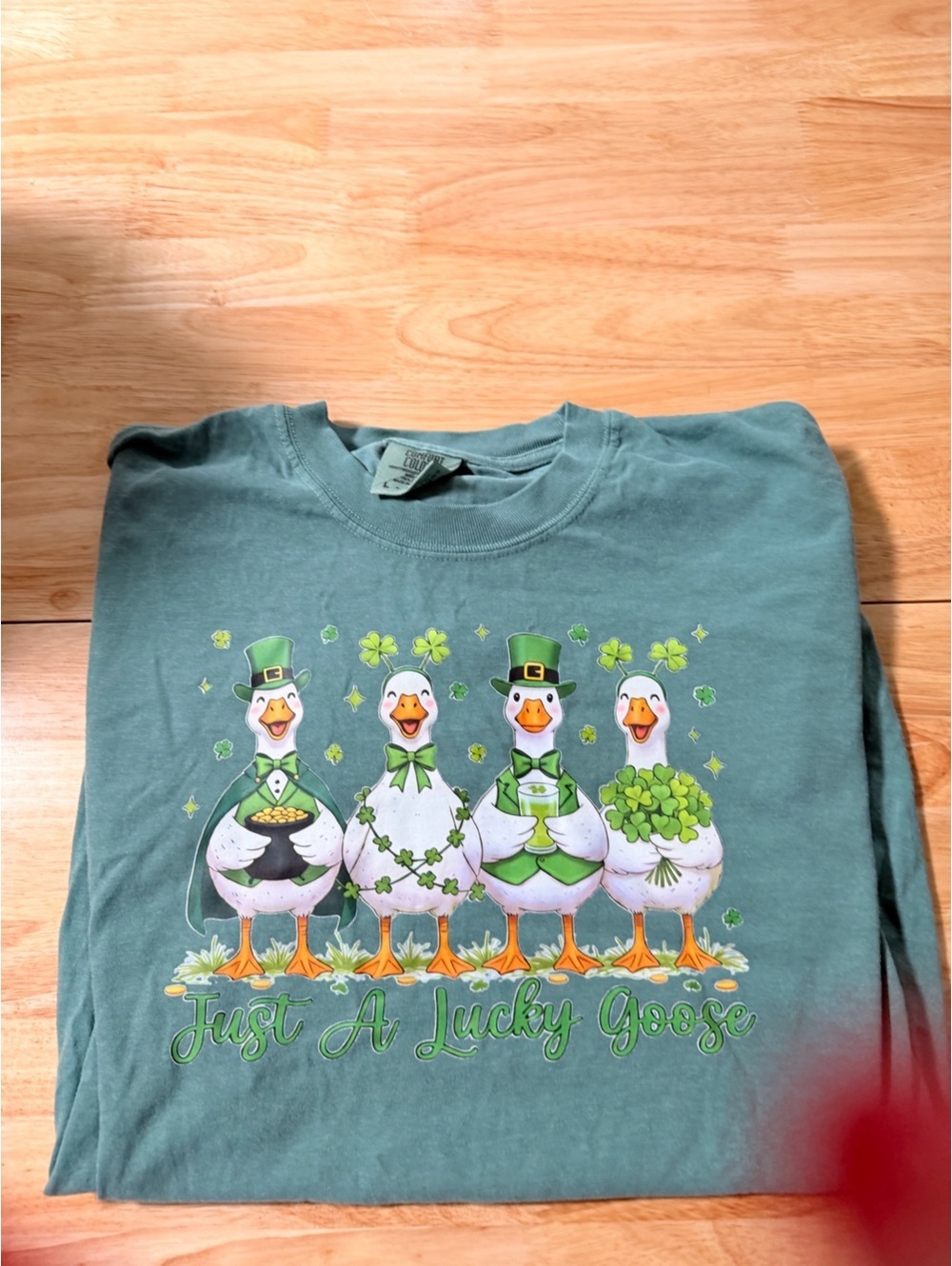 2 shirts Comfort Colors Green St. Patrick's Day Goose Graphic Tee